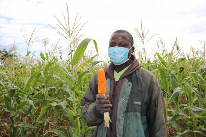 Orlando Baloi sees the future with optimism in front of the Kókwè seed production field