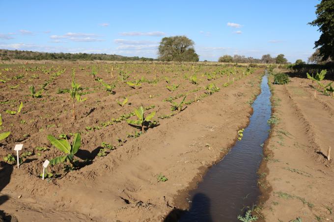 Powerful water pumps bring water as far as from 5 Km away